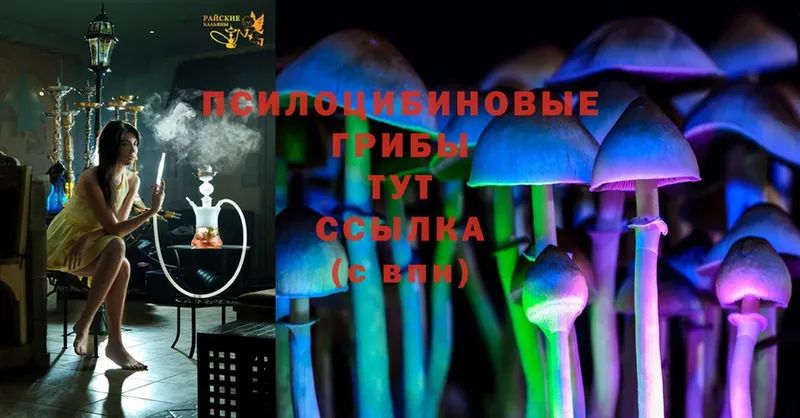 Псилоцибиновые грибы Magic Shrooms  Мирный 